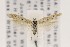  ( - USNMENT01142735)  @11 [ ] Copyright (2015) Smithsonian Institution Smithsonian Institution