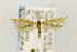  ( - CNCLEP00003929)  @11 [ ] CreativeCommons - Attribution Non-Commercial Share-Alike (2016) Jean-Francois Landry Canadian National Collection