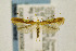 ( - CNCLEP00035831)  @14 [ ] CreativeCommons - Attribution Non-Commercial Share-Alike (2016) Jean-Francois Landry Canadian National Collection