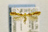  ( - CNCLEP00035832)  @14 [ ] CreativeCommons - Attribution Non-Commercial Share-Alike (2016) Jean-Francois Landry Canadian National Collection