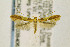  ( - CNCLEP00038406)  @13 [ ] CreativeCommons - Attribution Non-Commercial Share-Alike (2016) Jean-Francois Landry Canadian National Collection