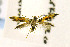  ( - CNCLEP00122902)  @14 [ ] CreativeCommons - Attribution Non-Commercial Share-Alike (2016) Jean-Francois Landry Canadian National Collection