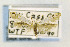  ( - CNCLEP00132850)  @11 [ ] CreativeCommons - Attribution Non-Commercial Share-Alike (2016) Jean-Francois Landry Canadian National Collection