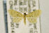  ( - CNCLEP00147191)  @13 [ ] CreativeCommons - Attribution Non-Commercial Share-Alike (2016) Jean-Francois Landry Canadian National Collection
