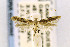  ( - CNCLEP00155990)  @12 [ ] CreativeCommons - Attribution Non-Commercial Share-Alike (2016) Jean-Francois Landry Canadian National Collection
