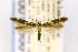  ( - CNCLEP00156001)  @11 [ ] CreativeCommons - Attribution Non-Commercial Share-Alike (2016) Jean-Francois Landry Canadian National Collection