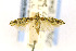  ( - EMEC407562)  @11 [ ] CreativeCommons - Attribution Non-Commercial Share-Alike (2016) Jean-Francois Landry Canadian National Collection