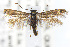  ( - CNCLEP00014417)  @11 [ ] Unspecified (default): All Rights Reserved (2020) Jean-Francois Landry Canadian National Collection
