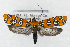  ( - CNCLEP00179956)  @11 [ ] Unspecified (default): All Rights Reserved (2019) Jean-Francois Landry Canadian National Collection