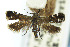  ( - CNCLEP00224093)  @11 [ ] Unspecified (default): All Rights Reserved (2022) Jean-Francois Landry Canadian National Collection