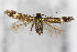  ( - CNCLEP00308302)  @11 [ ] Unspecified (default): All Rights Reserved (2022) Jean-Francois Landry Canadian National Collection