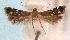  ( - CNCLEP00308870)  @11 [ ] Unspecified (default): All Rights Reserved (2022) Illinois Natural History Survey Illinois Natural History Survey