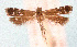  ( - MEM35120)  @11 [ ] Unspecified (default): All Rights Reserved (2022) Mississippi Entomological Museum Mississippi Entomological Museum