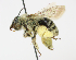  ( - BBSL338354)  @11 [ ] CreativeCommons - Attribution Non-Commercial (2018) Unspecified University of Minnesota