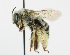  ( - BBSL823587)  @11 [ ] CreativeCommons - Attribution Non-Commercial (2018) Unspecified University of Minnesota