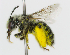  ( - fragbee2017_06700)  @14 [ ] CreativeCommons - Attribution Non-Commercial (2018) Unspecified University of Minnesota