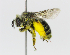  ( - fragbee2017_06817)  @14 [ ] CreativeCommons - Attribution Non-Commercial (2018) Unspecified University of Minnesota