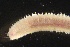  ( - ZMBN_160964)  @11 [ ] Creative Commons BY NC SA (2024) University of Bergen Natural History Collections