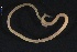  ( - ZMBN_161154)  @11 [ ] Creative Commons BY NC SA (2024) University of Bergen Natural History Collections