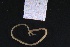  ( - ZMBN_161154)  @11 [ ] Creative Commons BY NC SA (2024) University of Bergen Natural History Collections