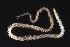  ( - ZMBN_161245)  @11 [ ] Creative Commons BY NC SA (2024) University of Bergen Natural History Collections