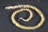  ( - ZMBN_161257)  @11 [ ] Creative Commons BY NC SA (2024) University of Bergen Natural History Collections