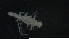  (Dendromunna - DSB_11214)  @11 [ ] Unspecified (default): All Rights Reserved  Unspecified Unspecified