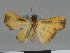  ( - CCDB-08662-B02)  @11 [ ] CreativeCommons - Attribution Non-Commercial Share-Alike (2014) Museum national d'Histoire naturelle  Muséum national d'Histoire naturelle