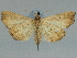  ( - CCDB-08662-B03)  @11 [ ] CreativeCommons - Attribution Non-Commercial Share-Alike (2014) Museum national d'Histoire naturelle  Muséum national d'Histoire naturelle