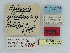  ( - CCDB-08662-B08)  @11 [ ] CreativeCommons - Attribution Non-Commercial Share-Alike (2014) Museum national d'Histoire naturelle  Muséum national d'Histoire naturelle