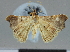  ( - CCDB-08662-C12)  @11 [ ] CreativeCommons - Attribution Non-Commercial Share-Alike (2014) Museum national d'Histoire naturelle  Muséum national d'Histoire naturelle