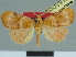  ( - CCDB-08662-D10)  @11 [ ] CreativeCommons - Attribution Non-Commercial Share-Alike (2014) Museum national d'Histoire naturelle  Muséum national d'Histoire naturelle