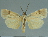  ( - CCDB-08662-H08)  @11 [ ] CreativeCommons - Attribution Non-Commercial Share-Alike (2014) Museum national d'Histoire naturelle  Muséum national d'Histoire naturelle