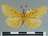  (Asota fereunicolor - CCDB-09453-A01)  @11 [ ] CreativeCommons - Attribution Non-Commercial Share-Alike (2014) Museum national d'Histoire naturelle  Muséum national d'Histoire naturelle