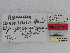  ( - CCDB-09453-A01)  @11 [ ] CreativeCommons - Attribution Non-Commercial Share-Alike (2014) Museum national d'Histoire naturelle  Muséum national d'Histoire naturelle