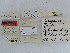  ( - CCDB-09453-A08)  @11 [ ] CreativeCommons - Attribution Non-Commercial Share-Alike (2014) Museum national d'Histoire naturelle  Muséum national d'Histoire naturelle