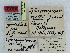  ( - CCDB-09453-B01)  @11 [ ] CreativeCommons - Attribution Non-Commercial Share-Alike (2014) Museum national d'Histoire naturelle  Muséum national d'Histoire naturelle