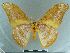  ( - CCDB-09453-C04)  @11 [ ] CreativeCommons - Attribution Non-Commercial Share-Alike (2014) Museum national d'Histoire naturelle  Muséum national d'Histoire naturelle