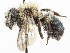  ( - DRP06085)  @11 [ ] CreativeCommons - Attribution Non-Commercial Share-Alike  Unspecified Unspecified