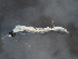  ( - 2T01)  @12 [ ] CreativeCommons - Attribution (2014) Danielle Bourque Centre for Biodiversity Genomics