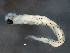  ( - 3T02)  @12 [ ] CreativeCommons - Attribution (2014) Danielle Bourque Centre for Biodiversity Genomics
