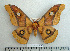  ( - BC-MN0028)  @14 [ ] Copyright (2010) M. Newport Research Collection of Mike Newport