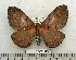  ( - BC-MN0130)  @14 [ ] Copyright (2010) M. Newport Research Collection of Mike Newport