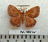  ( - BC-MN0149)  @11 [ ] Copyright (2010) M. Newport Research Collection of Mike Newport