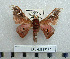  ( - BC-MN0169)  @13 [ ] Copyright (2010) M. Newport Research Collection of Mike Newport