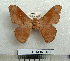  ( - BC-MN0181)  @13 [ ] Copyright (2010) M. Newport Research Collection of Mike Newport