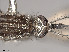  ( - VAITC4315A)  @13 [ ] CreativeCommons - Attribution Non-Commercial (2014) Jana Batovska Department of Primary Industries