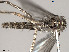  ( - VAITC4315A)  @12 [ ] CreativeCommons - Attribution Non-Commercial (2014) Jana Batovska Department of Primary Industries