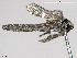  ( - VAITC4333)  @12 [ ] CreativeCommons - Attribution Non-Commercial (2014) Jana Batovska Department of Primary Industries