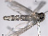  ( - VAITC4348A)  @12 [ ] CreativeCommons - Attribution Non-Commercial (2014) Jana Batovska Department of Primary Industries